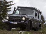 Mercedes-Benz G300 CDI Professional 2010 года